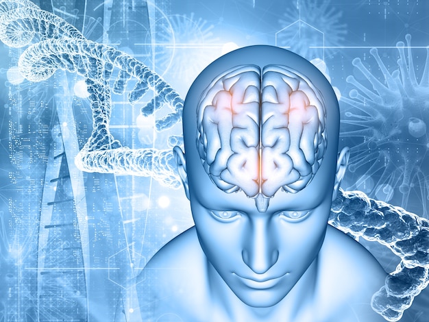 How a Genetic Variant Linked to Alzheimer’s Fuels Brain Inflammation Through Microglial Lipid Buildup