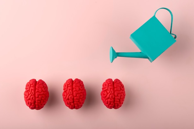 Illustration of brain showing habit formation pathways
