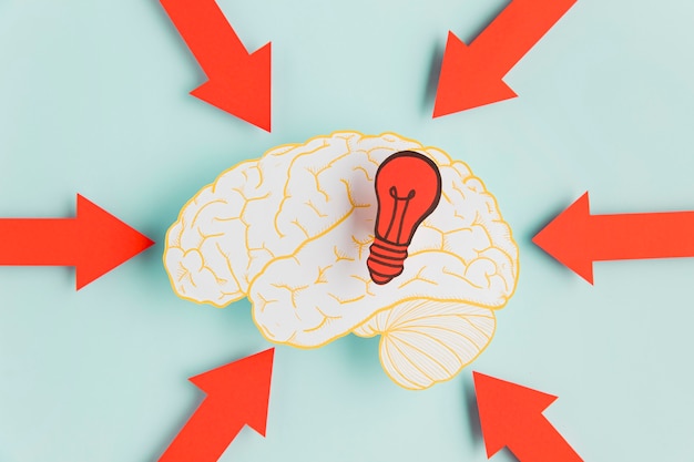 Scientific visualization of brain activity during decision-making