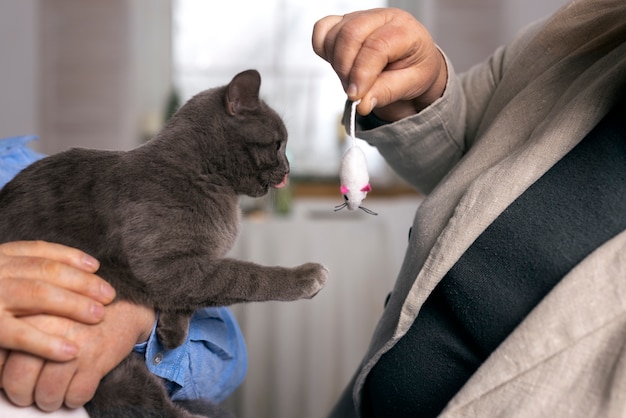 Cat showing signs of illness possibly linked to bird flu