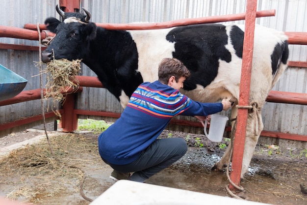 Dairy cows being monitored for bird flu symptoms