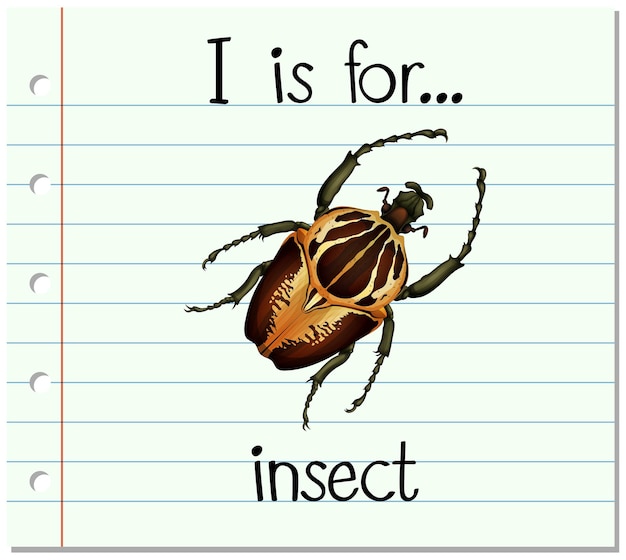Dead bug exercise