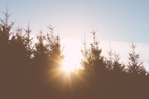 Person enjoying morning sunlight to regulate circadian rhythm
