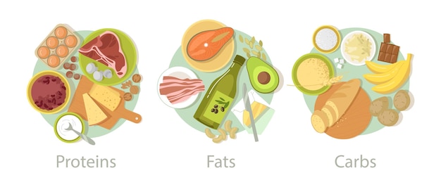 Macronutrients diagram showing protein, fats, and carbohydrates