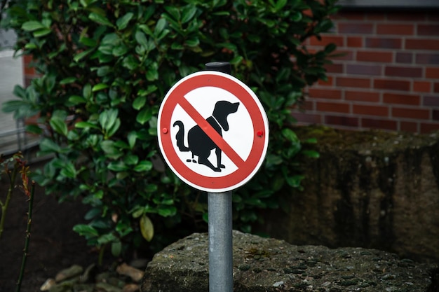 Public health warning sign about rabies risks from bats