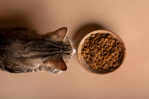 Recalled RAWR Raw Cat Food packaging