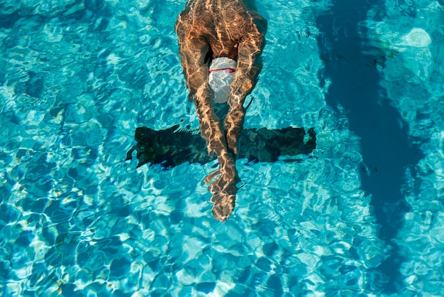 Master Your Swim: A 60-Minute No-Equipment Lap Routine for Total Fitness